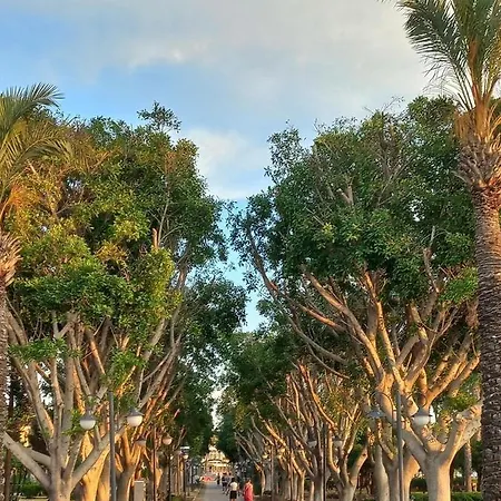 Bodrum-turgutreis Merkezde Plaja 50 Metre Uzaklikta 1 Ve 2 Numarali Daireler Apartmán
