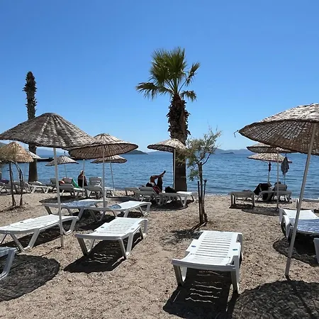 Bodrum-turgutreis Merkezde Plaja 50 Metre Uzaklikta 1 Ve 2 Numarali Daireler Appartamento