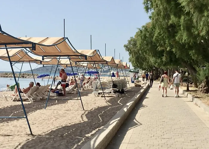 Bodrum-turgutreis Merkezde Plaja 50 Metre Uzaklikta 1 Ve 2 Numarali Daireler Appartement
