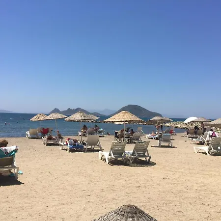 Bodrum-turgutreis Merkezde Plaja 50 Metre Uzaklikta 1 Ve 2 Numarali Daireler بودروم