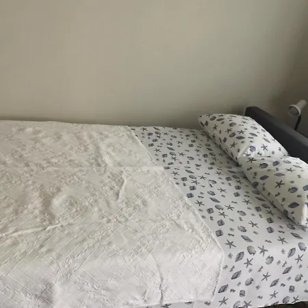 Bodrum-turgutreis Merkezde Plaja 50 Metre Uzaklikta 1 Ve 2 Numarali Daireler شقة