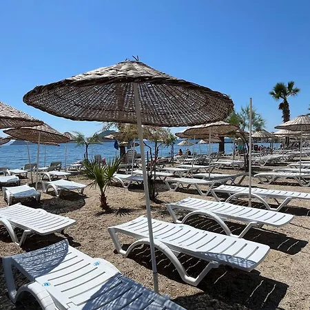 Bodrum-turgutreis Merkezde Plaja 50 Metre Uzaklikta 1 Ve 2 Numarali Daireler بودروم