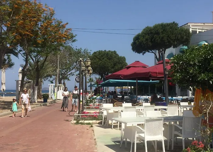 Bodrum-turgutreis Merkezde Plaja 50 Metre Uzaklikta 1 Ve 2 Numarali Daireler Apartament