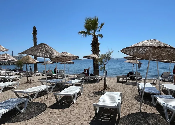 Bodrum-turgutreis Merkezde Plaja 50 Metre Uzaklikta 1 Ve 2 Numarali Daireler Apartament