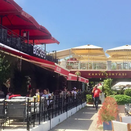 Bodrum-turgutreis Merkezde Plaja 50 Metre Uzaklikta 1 Ve 2 Numarali Daireler *