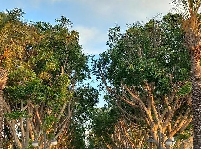 Bodrum-turgutreis Merkezde Plaja 50 Metre Uzaklikta 1 Ve 2 Numarali Daireler Appartement