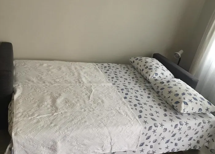 Bodrum-turgutreis Merkezde Plaja 50 Metre Uzaklikta 1 Ve 2 Numarali Daireler Appartement